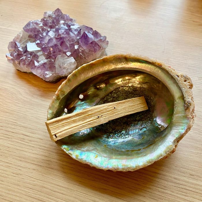Abalone Shell on a table. Inside is a stick of palo santo with an amethyst crystal next to it