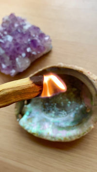 smudging with an Abalone Shell and Palo Santo